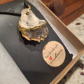 Sea Saphire